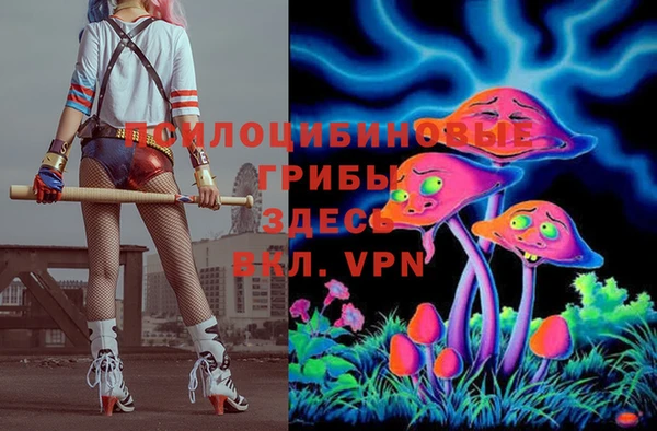 прущий лед Барнаул