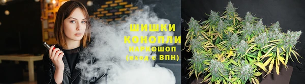 spice Вяземский
