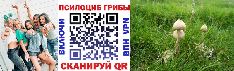 Галлюциногенные грибы GOLDEN TEACHER  Купить где  Мичуринск 