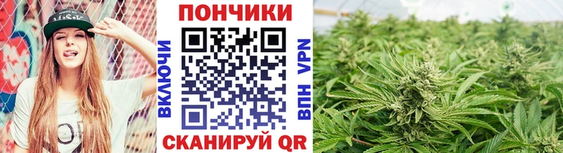 Купить закладки  Мичуринск  Каннабис AK-47